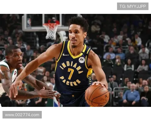 辽宁双外好用哈维布罗攻守兼备